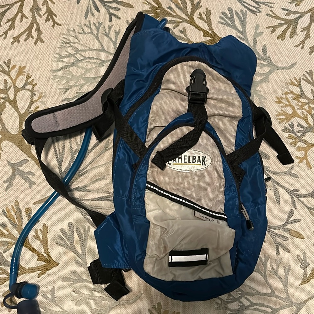Camelback Mini Mule